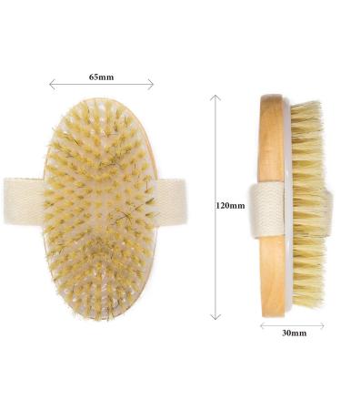 Ana Wiz Wooden Body Brush | Natural Boar Bristles & Lotus Wood Handle - International Shipping Available - Buy Online on GoSupps.com