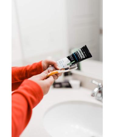 XYLOBURST Ecofam Adult Silver Toothbrush 0.02 Pound - Buy Online on GoSupps.com