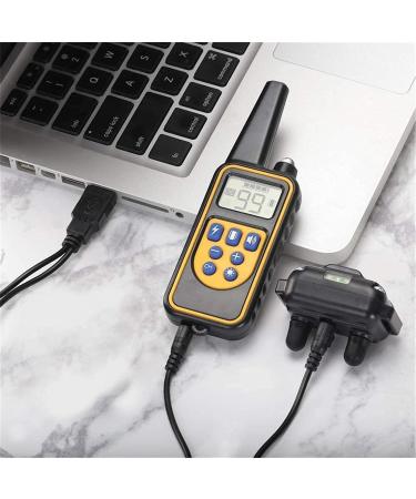 Buy Classic Nylon Dog Collars - Breathable Waterproof Easy to Handle for All Sizes | International Shipping Available - Buy Online on GoSupps.com