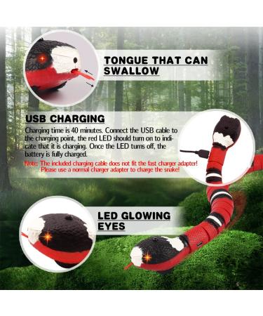 Interactive Squeaky Cat Toy | Electric Infrared Induction Snake Gag | USB Rechargeable Pet Toy | Realistic Simulation RC Snake - Buy Online on GoSupps.com