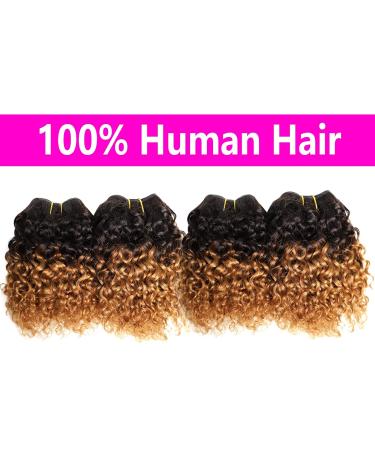 Ombre Brown Curly Human Hair Bundles 8 Inch, 12A Brazilian Virgin Kinky Curly Weave Bundles, Pack of 4 for Women - Buy Online on GoSupps.com