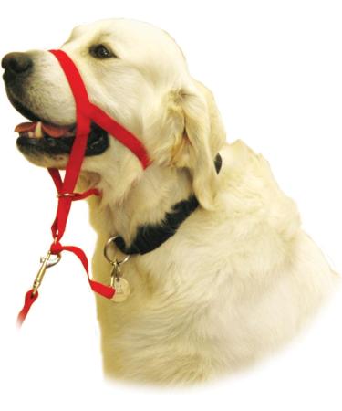 Halti Link Dog Leash - Size S Black | Durable & Comfortable | Shop Now for International Shipping - Buy Online on GoSupps.com