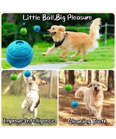 Feixun Dog Treat Toy Ball Dog Rubber Food Ball Interactive Dog Toy Pack of 2(1*Blue+1*Green) 8.1cm - Buy Online on GoSupps.com