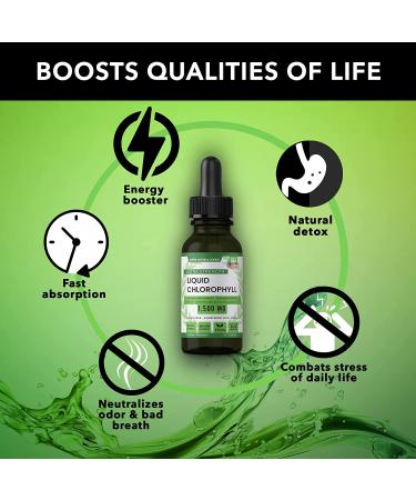 Premium All Natural Chlorophyll Drops for Water - Internal Deodorant, Energy Booster & Immune Support - 1oz by Super Natural Goods - Buy Online on GoSupps.com