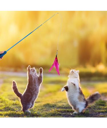 Shop Ukofew 12-Piece Cat Fishing Toys with Springs & Feathers Interactive Fun for Cats of All Sizes | International Shipping Available - Buy Online on GoSupps.com