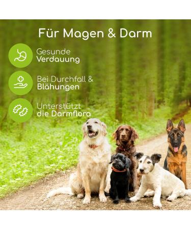 Natural Digestive Treats for Dogs - 125 Probiotics for Stomach Issues Diarrhea & Intestinal Health | 100% Organic Gentle Snacks - Buy Online on GoSupps.com