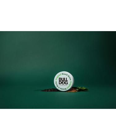 BULLDOG Original Beard Balm - 75ml (2 Pack) | Premium Grooming for Beards | Worldwide Shipping - Buy Online on GoSupps.com
