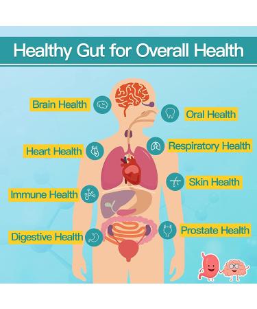 Men's Probiotic Supplement - 60B CFUs, 14 Strains, Dr. Formulated for Digestive & Immune Health (90 Tablets) - Buy Online on GoSupps.com