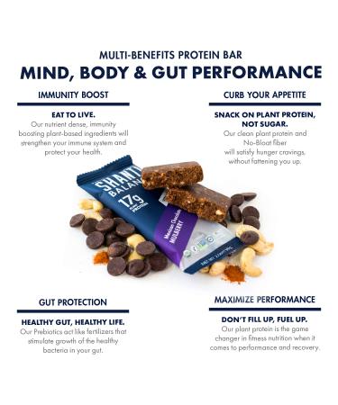 SHANTI BALANCE Mexican Chocolate Mulberry Bars - 17g Plant Protein, Gluten-Free Superfood | 12 Count - Buy Online on GoSupps.com