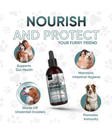 Natural Wormwood Liquid for Dogs & Cats - 2-4 Years Supply - 100% Safe with No Nasty Chemicals & Known Side Effects - Mix in Water & Food - Wormwood Drops For Gut Health & Intestinal Hygiene - 120ml 120 ml (Pack of 1) - Buy Online on GoSupps.com