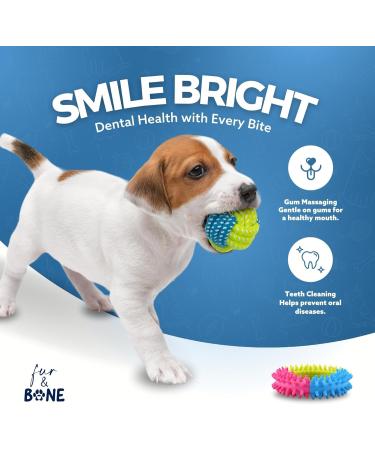 Fur & Bone 10 Pack Dog Chew Toys | Puppy Toys Dog Toys for Boredom | Indestructible Dog Toys with Rope Toys Squeaky Toy | Dog Toy Dog Teething Toys for Small & Medium Dogs | Dog - Buy Online on GoSupps.com
