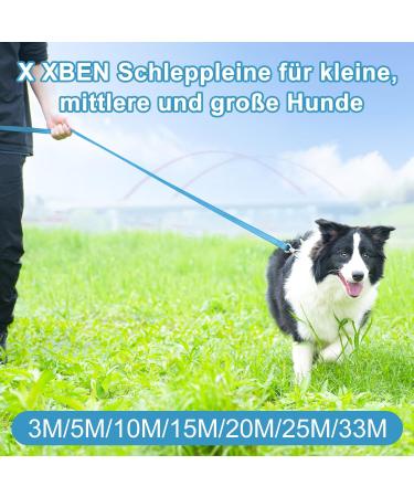 X Xben 15m Dog Leash - Robust Tow Line with Lockable Carabiner Reflective Running Training Line for Small & Medium Dogs Light Blue - Buy Online on GoSupps.com