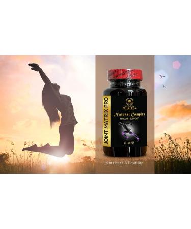 OLANTA TRADE SOLUTION Joint Matrix PRO Complex - Muscle & Cartilage Health w/MSM Glucosamine Chondroitin Complex with MSM Dietary Supplement for Joint Support - 2 Bottles - Buy Online on GoSupps.com