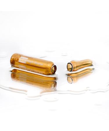 Buy MartiDerm Night Renew Ampoule 30 Ampoules with AHA Marine Collagen & Hyaluronic Acid for Smooth Skin | International Shipping Available - Buy Online on GoSupps.com