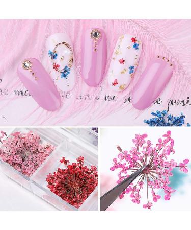 Changar Nail Sticker Set | 3D Dried Flowers for Nail Art | DIY Handicrafts & Synthetic Resin Five Petals - Buy Online on GoSupps.com