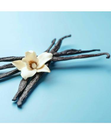  Vanillia Bourbon Vanilla Powder 25g Grand Cru from Madagascar 100% Vanilla Pods Powder FreshZIP Vanillia - Buy Online on GoSupps.com