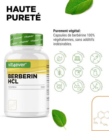 Berberine HCL Extract - 120 Capsules 500mg - Natural Berberine + Black Pepper Extract - Lab Tested (Purity & Active Ingredient Content) - High Dose - Vegan - Buy Online on GoSupps.com