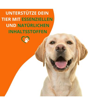 Mahu Nature Linseed Oil for Dogs 1L - Omega 3 & 6 Fatty Acids - Natural BARF Oil for Dogs Cats & Horses - Eco-Friendly 1000ml Recyclable Can - Buy Online on GoSupps.com