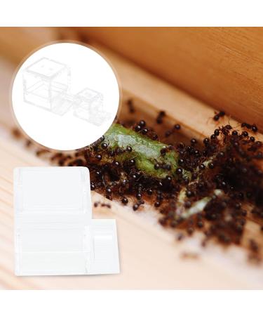 BCOATH 2pcs Ant Water Feeder Pet Water Bowl Portable Water Dispenser Clear Container Water Drinking Bowl Large Ant Farm Miniature Water Dispenser Ant Drinking Tool Ant Feeding Container - Buy Online on GoSupps.com