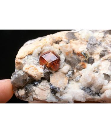 92.6g Natural Smoky Quartz Garnet Crystal Cluster Specimen JZIGTDEM - Buy Online on GoSupps.com