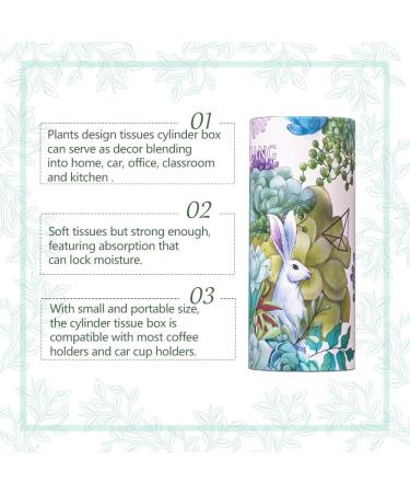 RONGCHUANG Facial Tissue: 4 Packs, 150 Count Per Tube, Portable Cylinder Box for Office, Car, Home - Green - Buy Online on GoSupps.com