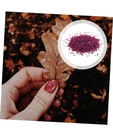 Healeved 1 Glass Chip Nail Art Jewels Nail Jewels Rhinestones Vintage Glass Nail Accessories DIY Fillers DIY Charm Fillers Nail Gems Resin Epoxy Glass Epoxy Fillers Nail Stickers Irregular 0.5X0.3cm Rosy - Buy Online on GoSupps.com