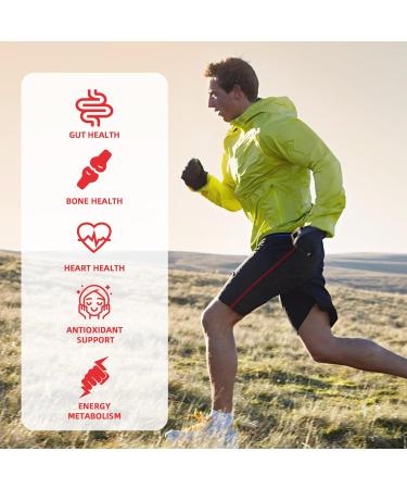 Butyrate Gummies Gut Health Supplement: Butyrate with Probiotic & Prebiotic Fiber Gummies for Women Men Sugar Free Digestive & Energy Metabolism Support Vegan Hawthorn Flavor 30 Days Supply - Buy Online on GoSupps.com