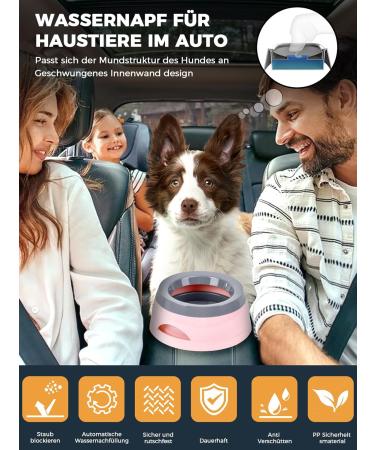 Shop Wasserne 750ml Dog Water Bowl - Splash-Proof Travel-Friendly Removable Pink Design for Dogs & Cats - Buy Online on GoSupps.com