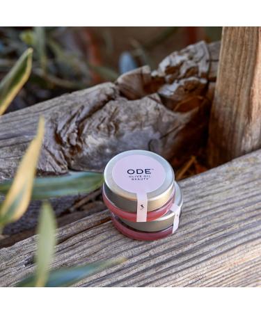 Lip Balm: Kiss of Blush (3-pack) by ODE Olive Oil Beauty Organic EVOO California Made Luxurious Lip balm - Buy Online on GoSupps.com