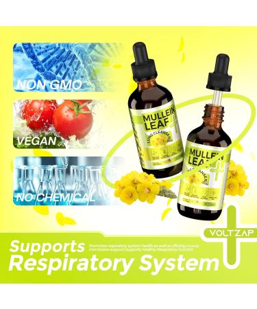 Organic Mullein Drops for Lungs - Herbal Respiratory Support & Bronchial Cleanse - 2 oz Mullein Leaf Extract - Buy Online on GoSupps.com