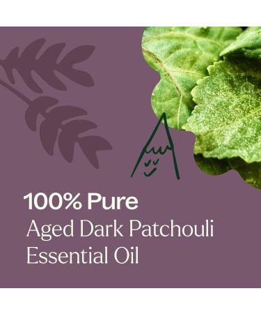Plant Therapy Aged Dark Patchouli Essential Oil 10 mL (1/3 oz) 100% Pure Therapeutic Grade Aged Patchouli Oil with Deep Bold Earthy Scent Aromatherapy & Fragrance Oil for Diffusers & Skin - Buy Online on GoSupps.com