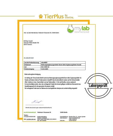 Exvital TierPlus Intestine Active Powder for Dogs & Cats | Probiotics & Prebiotics for Healthy Gut After Diarrhea Worm Treatment & Antibiotics - Buy Online on GoSupps.com