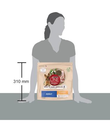 PURINA ONE Mini/Small 10kg Grain Free Chicken Dry Food | Small Breed Adult Dogs | 1.2kg Bag - Buy Online on GoSupps.com