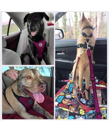 Slowton Dog Harness with Safety Belt for Car - Breathable Latex Fabric Puppy Harness for Everyday Sports (Fuchsie S) - Buy Online on GoSupps.com