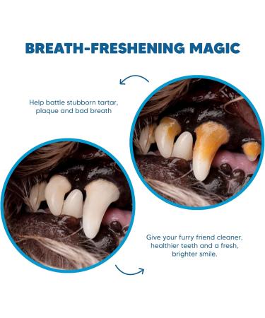 Hartz Dentist s Best DentaShield 8 Rawhide Chew 12 Units - 80% Less Tartar - Healthy Gums - Fresh Breath - Beef Flavor - Dental Care for Dog Pack of 12 Retriever Rolls for Large Dogs (6x2 Rolls) - Buy Online on GoSupps.com