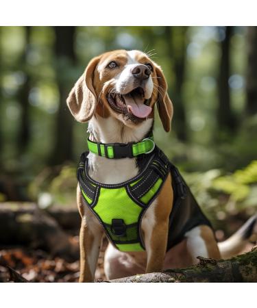 Joytale XL Reflective Dog Collar for Large Dogs Green | Durable & Safe | Pack of 1 - Buy Online on GoSupps.com