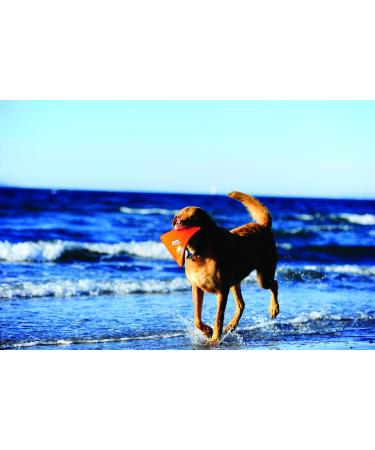 Buy Chuckit! Heliflight Small - Durable Dog Toy for Fun Fetching | International Shipping Available - Buy Online on GoSupps.com