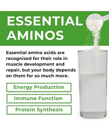 Nextrino Essential Aminos EAA Supplement - Complete EAA & BCAA Powder Drink with Electrolytes (Citrus Rush) - Transparent Ingredients - 30 Servings - Buy Online on GoSupps.com