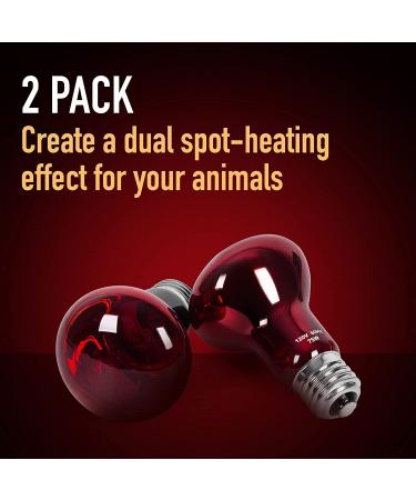 2-Pack 75W Infrared Heat Lamp Bulb for Reptiles - Red Heat Lamp for Enclosures - Keep Your Pets Warm - Buy Online on GoSupps.com