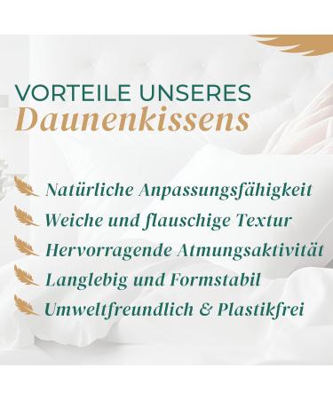 Knerst Daunkissen 80x80 - Luxurious 3 Chamber Down Pillow | Made in Germany | Natural Comfort for Relaxation & Quality Sleep - Buy Online on GoSupps.com
