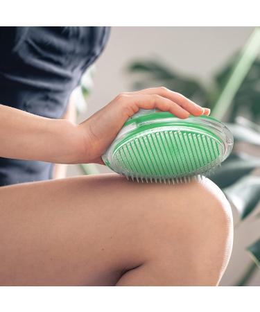 TailaiMei Exfoliating Brush for Ingrown Hair Treatment - Prevent Bikini Bumps & Razor Bumps - Silky Smooth Skin Solution - Men and Women (Green) - Buy Online on GoSupps.com