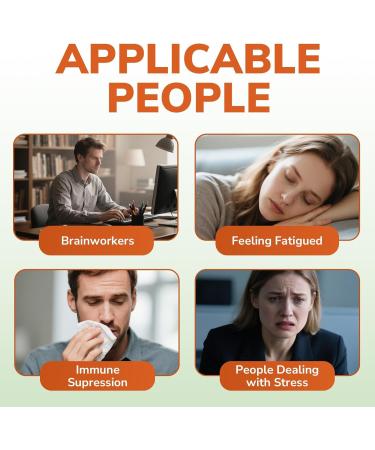 Vitalibre Maca Root Capsules for Women & Men, 1500 mg Maca Root Per Serving, with Black Pepper for Max Absorption, 95% Piperine, Vitality, Mood, Metabolic Support, 90 Capsules - Buy Online on GoSupps.com