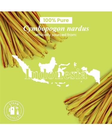 Handcraft Blends Outdoor Fresh Set: Peppermint and Citronella Essential Oils (2 x 4 Fl Oz) 100% Pure & Natural for Diffuser Aromatherapy and DIY Projects - Buy Online on GoSupps.com