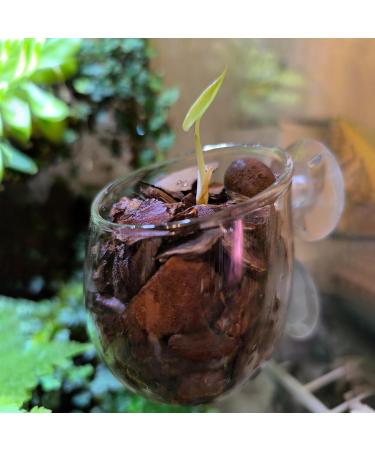 Vtinyeal Aquarium Plant Keep Cup - 2 Pieces Water Plant Pot with Suction Cups | Aqua Decoration & Accessories - Buy Online on GoSupps.com