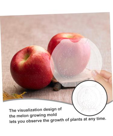 Yardenfun 2pcs Vegetable Shaping Fruit Shaper Multi-Function Shaping Multipurpose Accessories - Buy Online on GoSupps.com