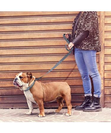 Personalized Reflective Dog Collar & Leash Set - Tagme Gray for Medium Dogs - 1.5m Double-Sided Leash - International Shipping - Buy Online on GoSupps.com