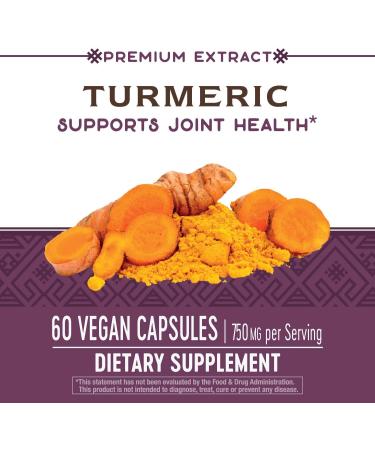 Nature's Way Standardized Turmeric 95% Curcuminoids - TRU-ID Certified (2 Pack, 120 VCaps) - Buy Online on GoSupps.com