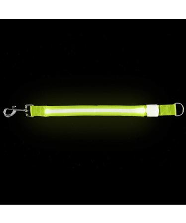 Furhaven Pet Hands-Free Bungee Dog Leash with LED Collar and Safety Features - Multiple Colors and Sizes - Buy Online on GoSupps.com