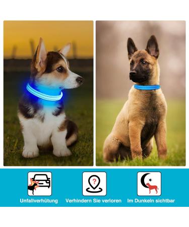 KOSKILL USB LED Dog Collar - Waterproof & Adjustable Luminous Collar for Small Dogs - Super Bright Blue S - Buy Online on GoSupps.com
