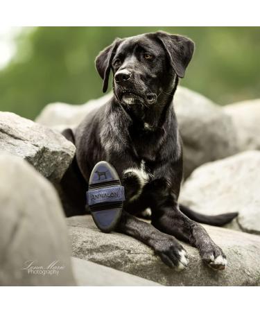 Animalon Kard tsche for Dogs | Natural Bristle Brush for Short Hair | Gentle Fur Care | Innovative Dog Grooming Tool (Small Blue) - Buy Online on GoSupps.com